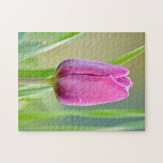 Roze tulp legpuzzel (Horizontaal)