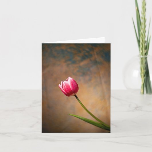 Roze Tulp met een Twist Kaart (Voorkant)