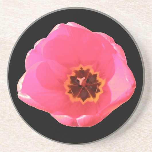 Roze Tulp Onderzetters (Voorkant)
