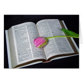 Roze tulp op bijbelsympathie (Voorkant Horizontaal)