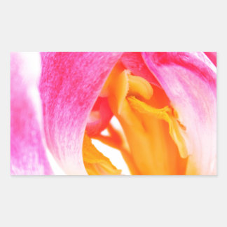 roze tulp rechthoekige sticker