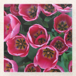Roze tulp schoonheid glazen onderzetter