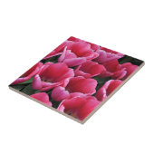 Roze tulp schoonheid tegeltje (Zijkant)
