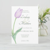 Roze Tulp Solo Paarse Modern Kaart (Staand voorkant)