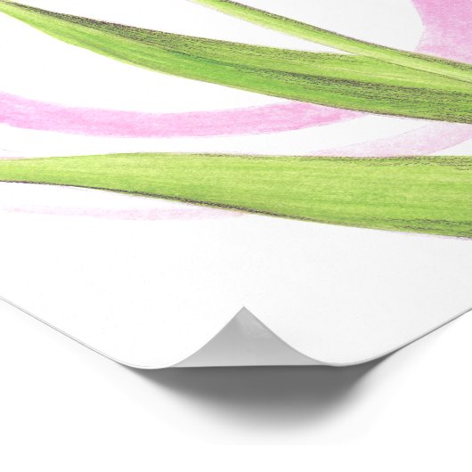  roze Tulp Spring Elegant flower art Poster (Hoek)