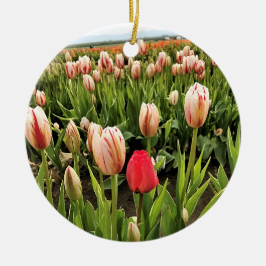 Roze tulp staat klaar keramisch ornament (Voorkant)