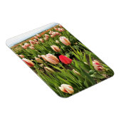 Roze tulp staat klaar magneet (Rechterzijde)