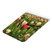 Roze tulp staat klaar magneet (Linkerzijde)