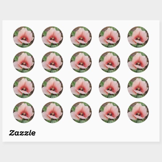 Roze tulp sticker (Vel)