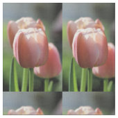 Roze tulp stof (Close Up)
