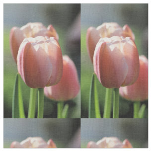 Roze tulp stof
