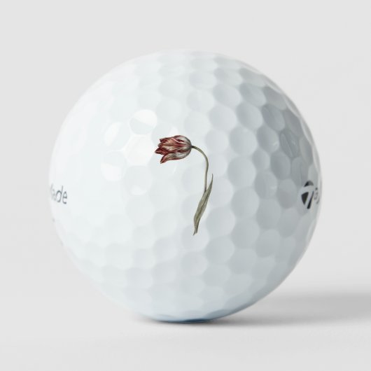 Roze tulp van Jean Bernard (1775-1883). Golfballen (Voorkant)
