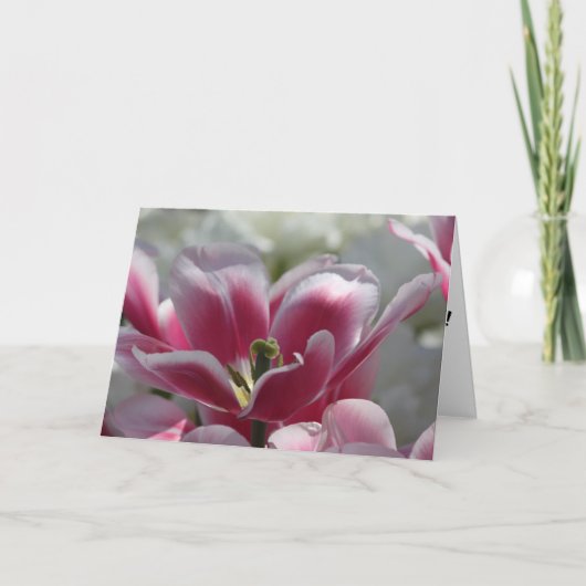 roze tulp verjaardagskaart kaart (Voorkant)