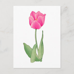 Roze tulp, vintage Japanse kunst 12 x 1`6 Briefkaart