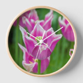 Roze Tulp Wandklok (Voorkant)