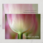 Roze tulp ・ Weddenschap Kaart (Voorkant / Achterkant)