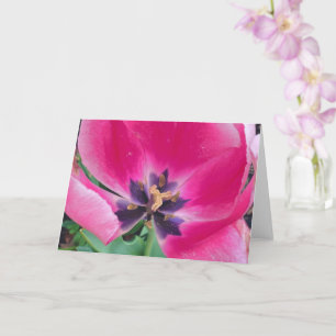 Roze Tulp Wenskaart Kaart
