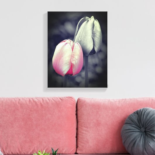 Roze Tulp zwart-wit, partiële kleur Canvas Afdruk (Insitu (Woonkamer))