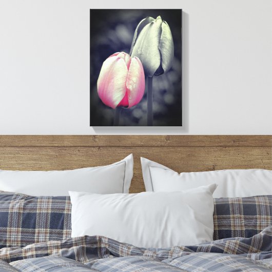 Roze Tulp zwart-wit, partiële kleur Canvas Afdruk (Insitu (Slaapkamer))