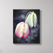 Roze Tulp zwart-wit, partiële kleur Canvas Afdruk (Voorkant)