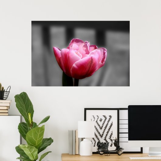 Roze tulp zwart-wit poster of druk (Thuiskantoor)