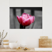 Roze tulp zwart-wit poster of druk (Keuken)