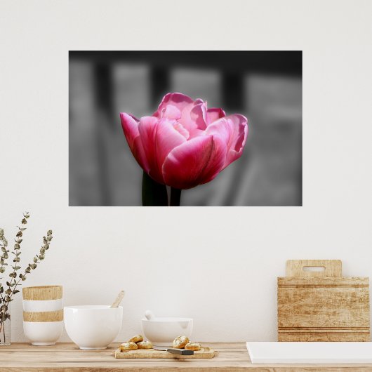 Roze tulp zwart-wit poster of druk (Keuken)