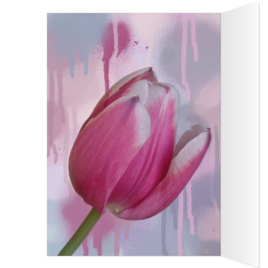 Roze tulpafdruppelachtergrond en aangepaste tekst (Binnen (Links))