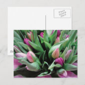 Roze tulpbloemen briefkaart (Voorkant / Achterkant)