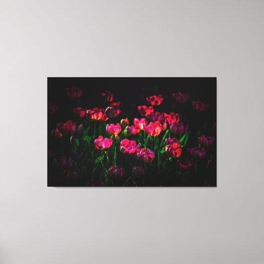 Roze tulpbloemen canvas afdruk (Voorkant)