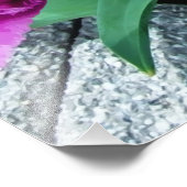 Roze tulpbloemen foto afdruk (Hoek)