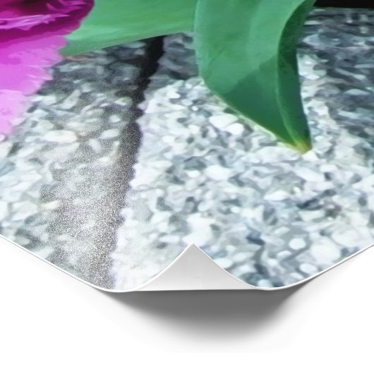 Roze tulpbloemen foto afdruk (Hoek)