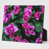 Roze tulpbloemen fotoplaat (Zijkant)