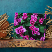 Roze tulpbloemen fotoplaat (Zijkant)