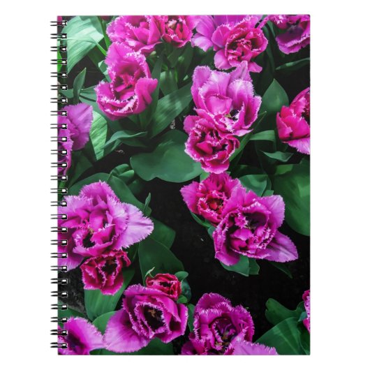 Roze tulpbloemen notitieboek (Voorkant)