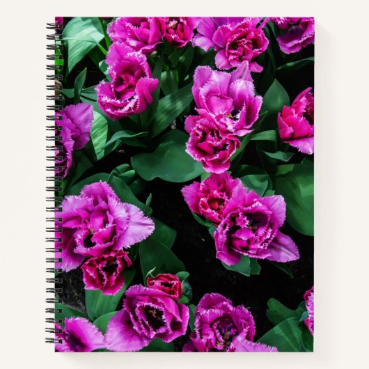 Roze tulpbloemen notitieboek (Voorkant)