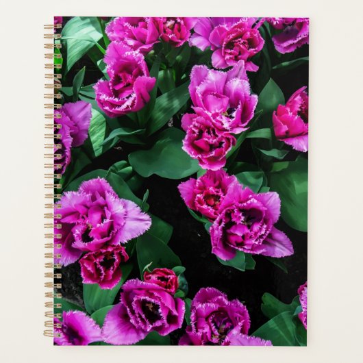 Roze tulpbloemen planner (Voorkant)