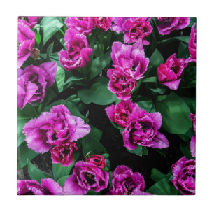Roze tulpbloemen tegeltje