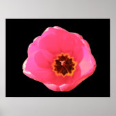 Roze tulpdruk poster (Voorkant)
