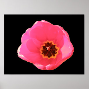 Roze tulpdruk poster