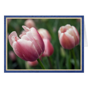 Roze tulpen