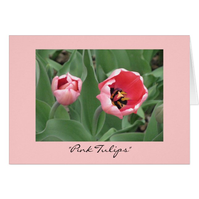 "Roze Tulpen" (Voorkant Horizontaal)
