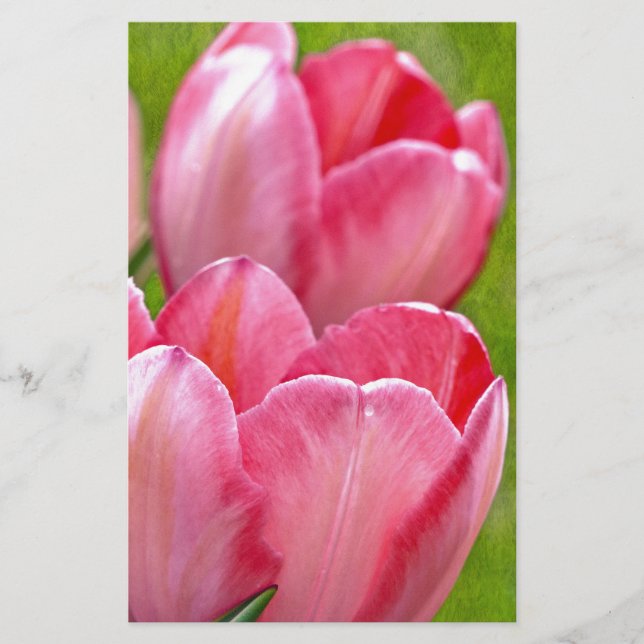 Roze tulpen (Voorkant)
