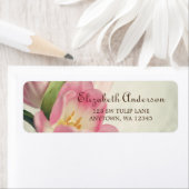 Roze Tulpen Adresetiketten Etiket (Insitu)