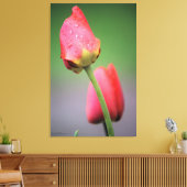 Roze tulpen Afdrukken op foto's (Insitu (Woonkamer))