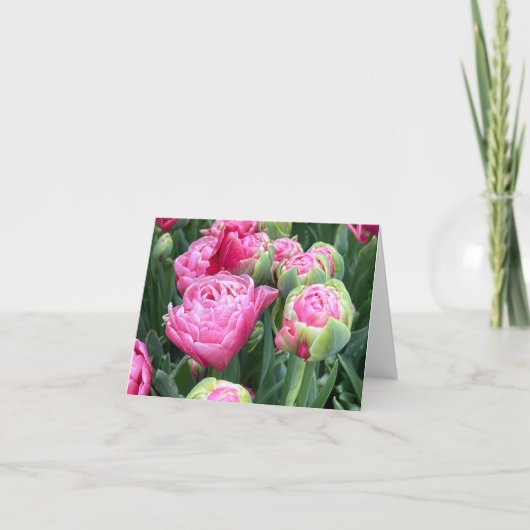 Roze tulpen blanco notitiekaarten (Voorkant)