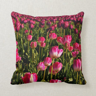 Roze tulpen, bloem, tuin, bloemen, roze en groen kussen