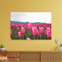 Roze tulpen bloemen opgespannen canvas print