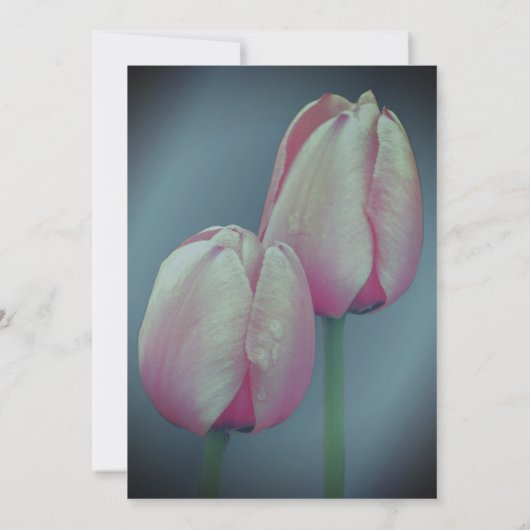 Roze Tulpen Bloemen Party Uitnodiging (Achterkant)