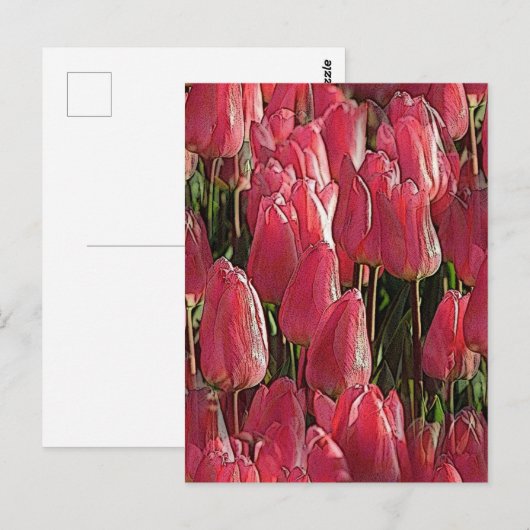 Roze Tulpen Bloemstuk Briefkaart (Voorkant / Achterkant)